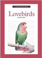 A New Owner's Guide to Lovebirds